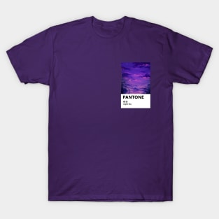 Anime Aesthetic Pantone T-Shirt